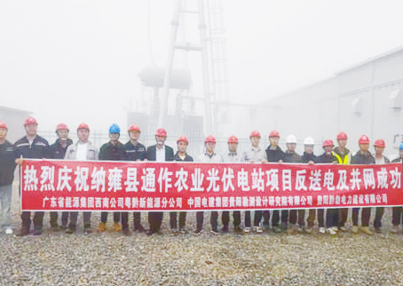 纳雍县通作农业光伏电站项目